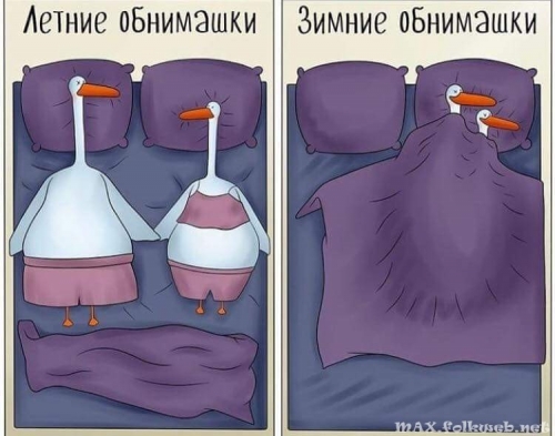Юмор в нашей жизни
