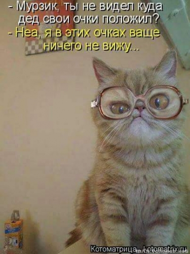Юмор в нашей жизни
