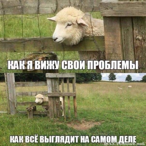 Юмор в нашей жизни