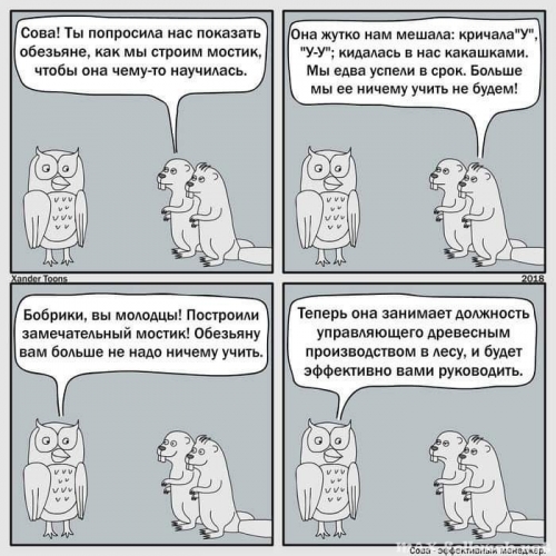 Юмор в нашей жизни