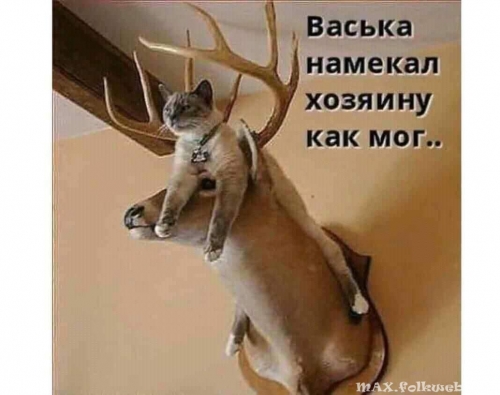 Юмор в нашей жизни