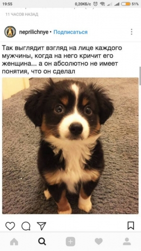 Юмор в нашей жизни