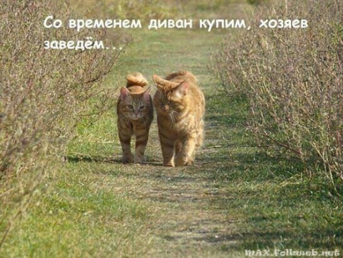 Юмор в нашей жизни