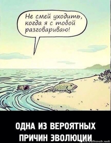Юмор в нашей жизни