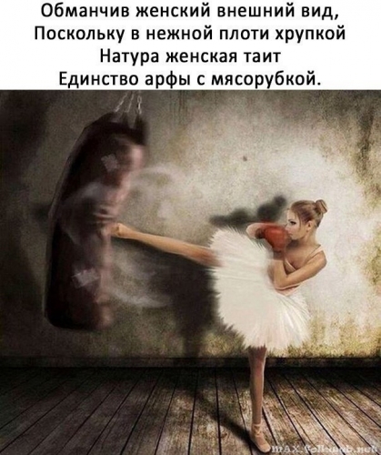 Юмор в нашей жизни