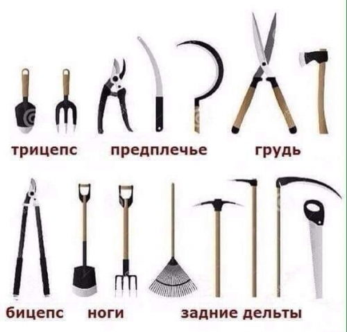 Юмор в нашей жизни